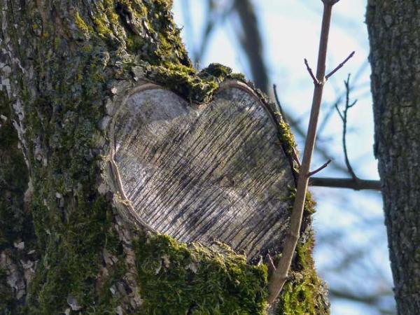 FAIR FRIENDS - Zukunftstrend "nachhaltiges Handeln"