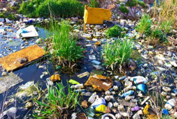 Umweltverschmutzung durch Plastikmüll