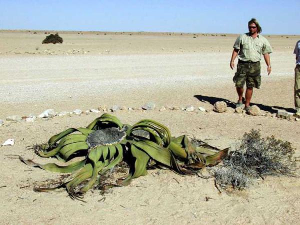 Südafrika-Namibia-Rundreise im Expeditionsbus, 17 Tage