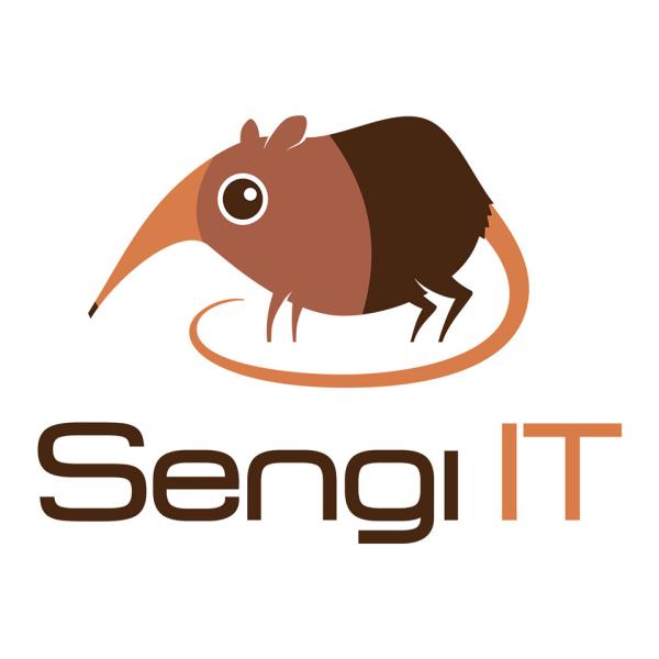 Startup Sengi IT startet Crowdfunding-Kampagne auf indiegogo.com