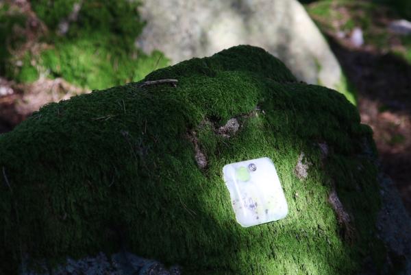 Glaskunst als Zeichen der Individualität im Naturfriedhof Schlosswald