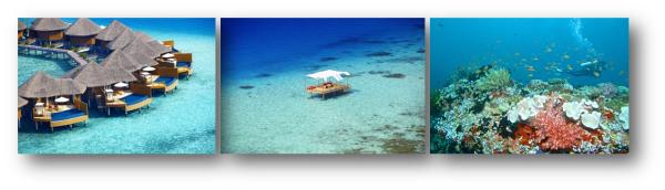 Korallenschutz zum Mitmachen auf BAROS Maldives