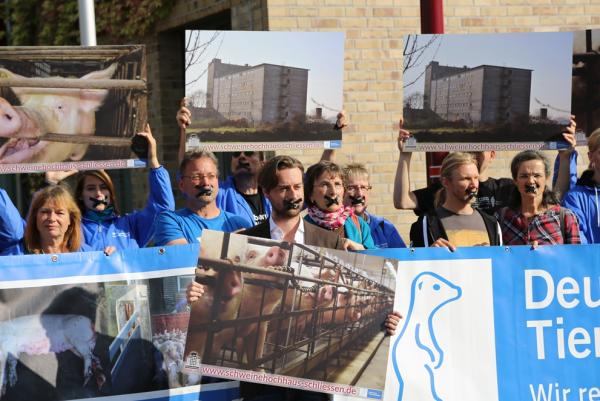 Gericht stellt Verfahren gegen Schweinehochhaus-Enthüller ein - Tierschutz-Aktion vor Gericht