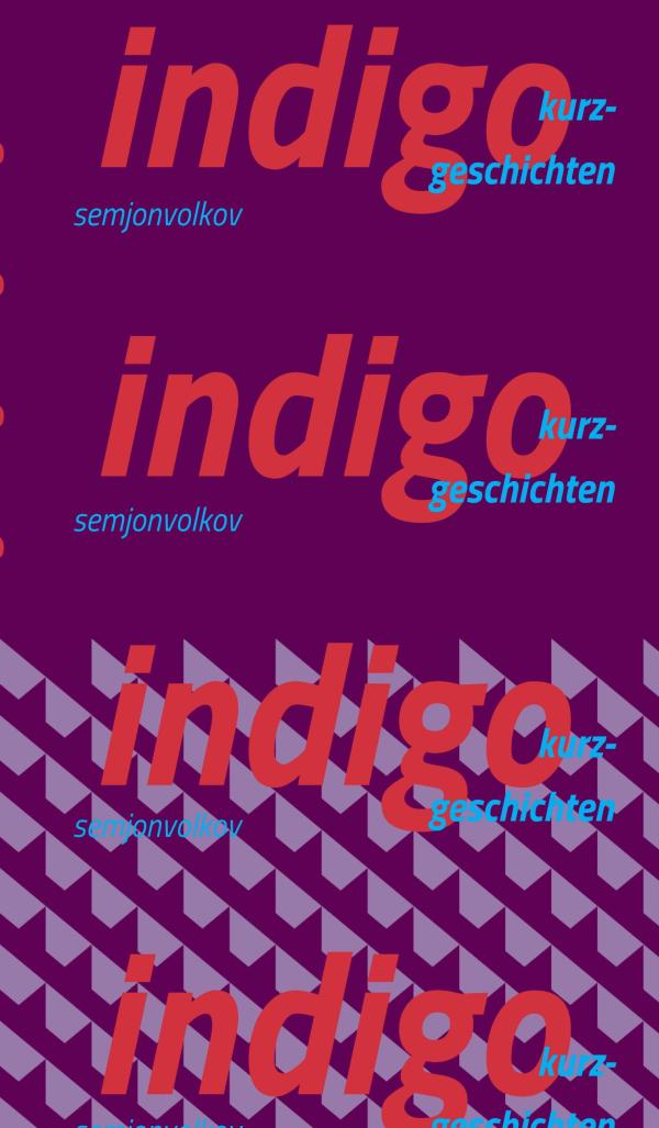 indigo - Kurzgeschichten blicken hinter die Fassaden 