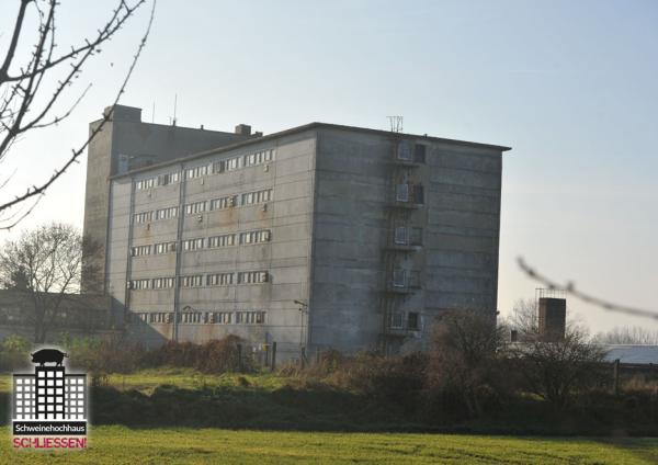 Tierschützer wollen vor Schweinehochhaus demonstrieren 