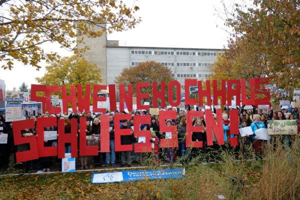 Schweinehochhaus schließen! 400 Tierschützer protestierten vor Anlage in Maasdorf (Bildmaterial vorhanden)