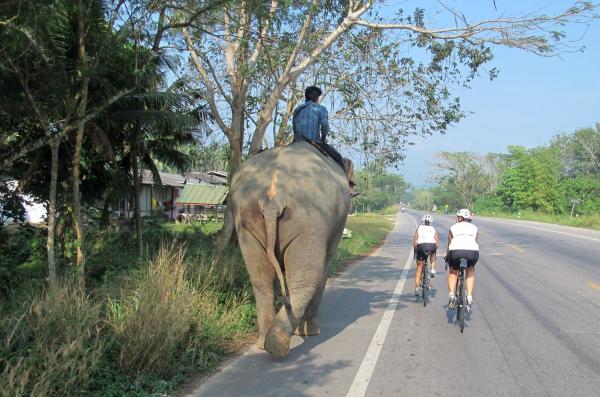 Vom Nationalpark über Kambodscha nach Koh Chang: Aufregende Radfernfahrt durch Zentral-Thailand