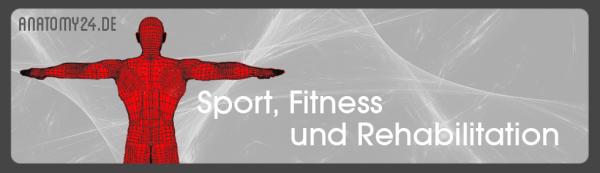 Fitnessgeräte online vergleichen und kaufen.