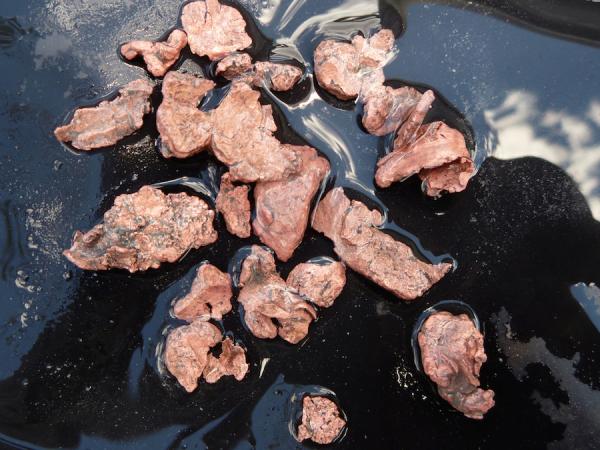 Baumeister brauchen Kupfer