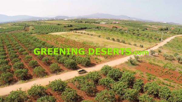 Begrünung von Wüsten und trockenen Landschaften mit Greening Deserts Projekten