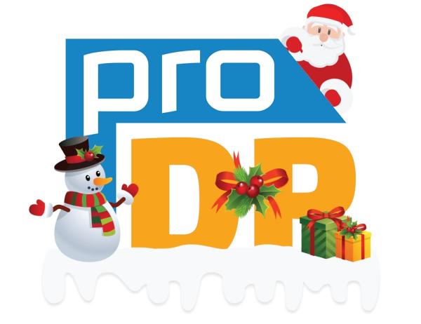 Digitaler Weihnachtsputz bei Pro DP Verpackungen und Pack4Food24.de