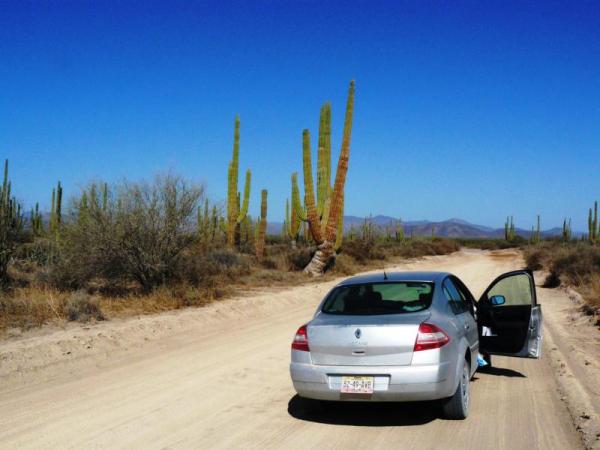 Mit Auto statt Jeep durch Mexikos Baja California - neue Mietwagenreise von Santana Travel