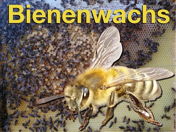 Petition für sauberes Bienenwachs 