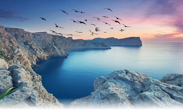 Die Immobilienbranche auf Mallorca feiert ein Comeback
