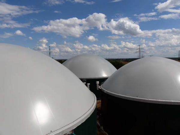 Biogas - die Energie der Zukunft Millionen für die Biogasproduktion in Torgelow