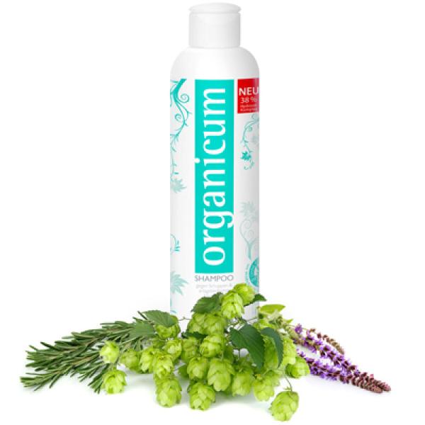 Trockene Kopfhaut kann zu Haarausfall führen. 