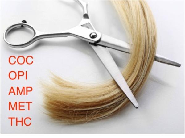 Drogenscreening der Haare diskret und sicher online abwickeln