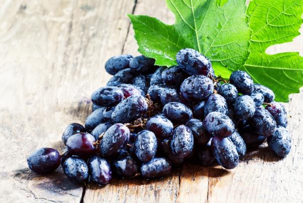 OPC-Traubenkernextrakt: Jung bleiben und alt werden mit dem stärksten Antioxidans der Welt