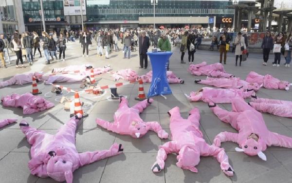 Schweine-Flashmob am Alex verstört Wochenend-Shopper (Bildmaterial vorhanden)