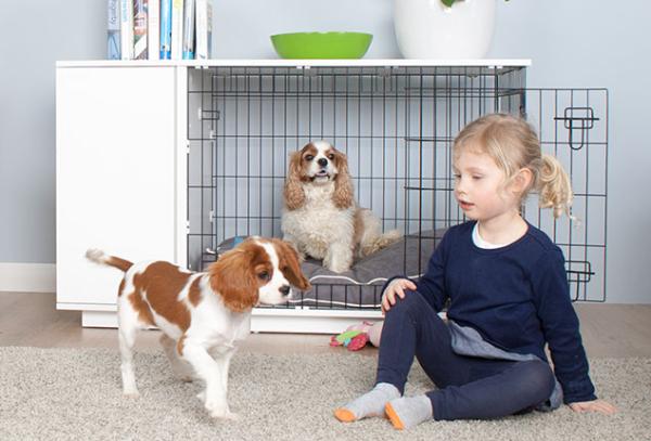 Die weltweit erste Hundebox mit integriertem Kleiderschrank