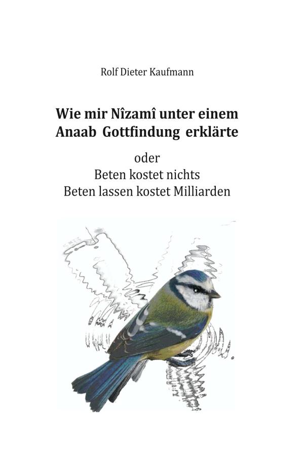 Nîzamî und die Gottfindung - Gespräche über religiöse, kulturelle und gesellschaftliche Phänomene