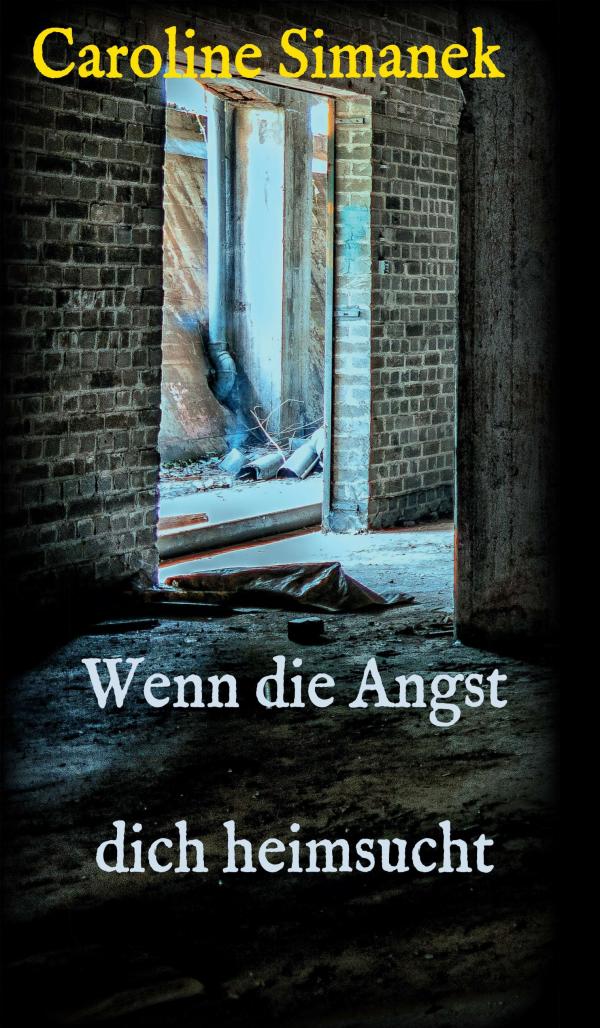 Wenn die Angst dich heimsucht - spannender Thriller aus dem heutigen Franken	