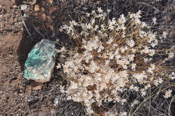 Sichere Elektrizität und sauberes Wasser braucht Kupfer