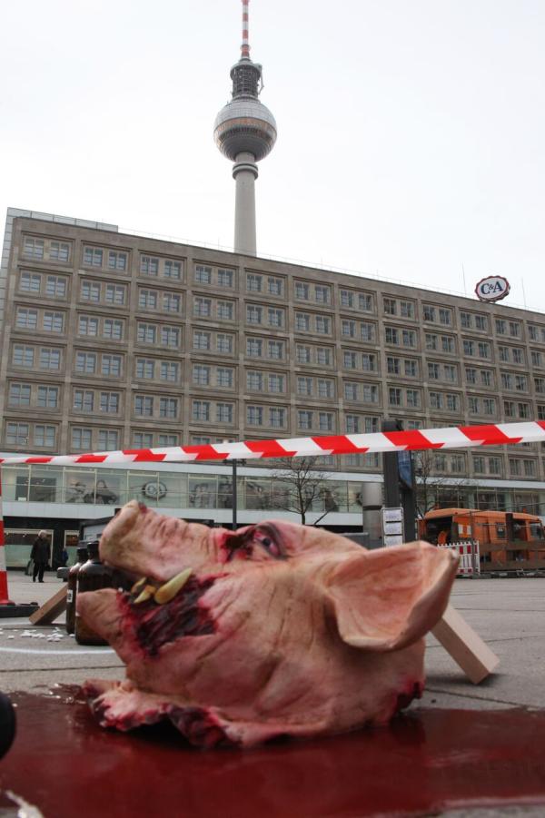 Pressetermin: Berlin-Charlottenburg wird zum Tatort - Tierschützer untersuchen Opfer der Massentierhaltung