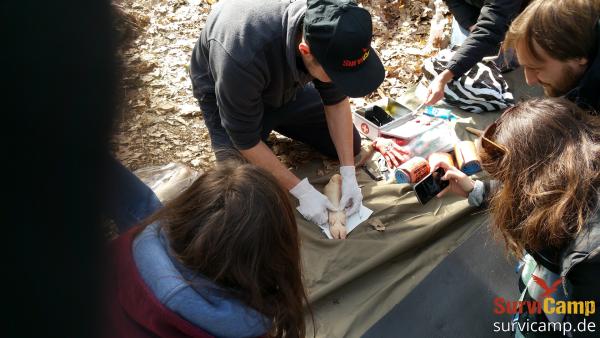 SurviCamp bildet reiselustige Berliner in einem Erste-Hilfe-Outdoor-Kurs aus