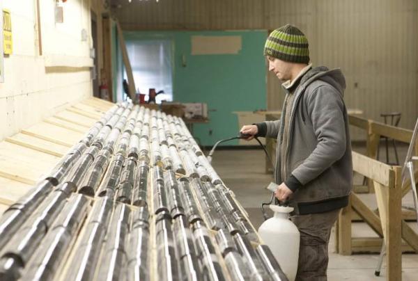 Schwarzer Schwan = glänzendes Gold