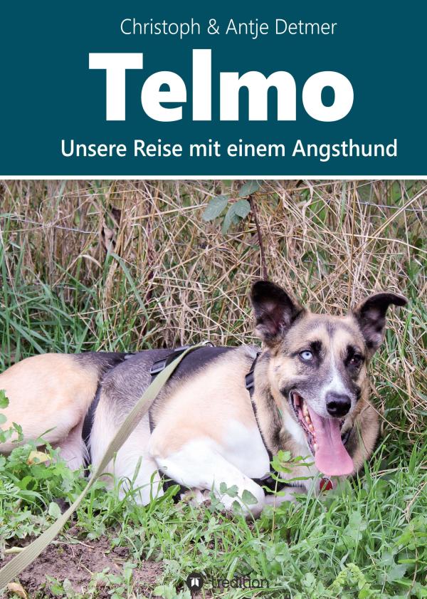 Telmo - Was tun, wenn Ihr Hund vor allem Angst hat? 