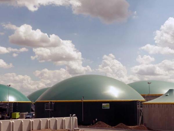 Alleskönner Biogas