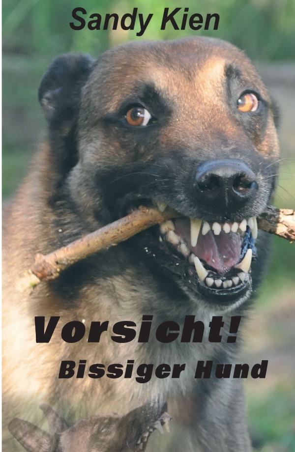 Vorsicht, bissiger Hund! - Was tun mit einem bissigen Hund?