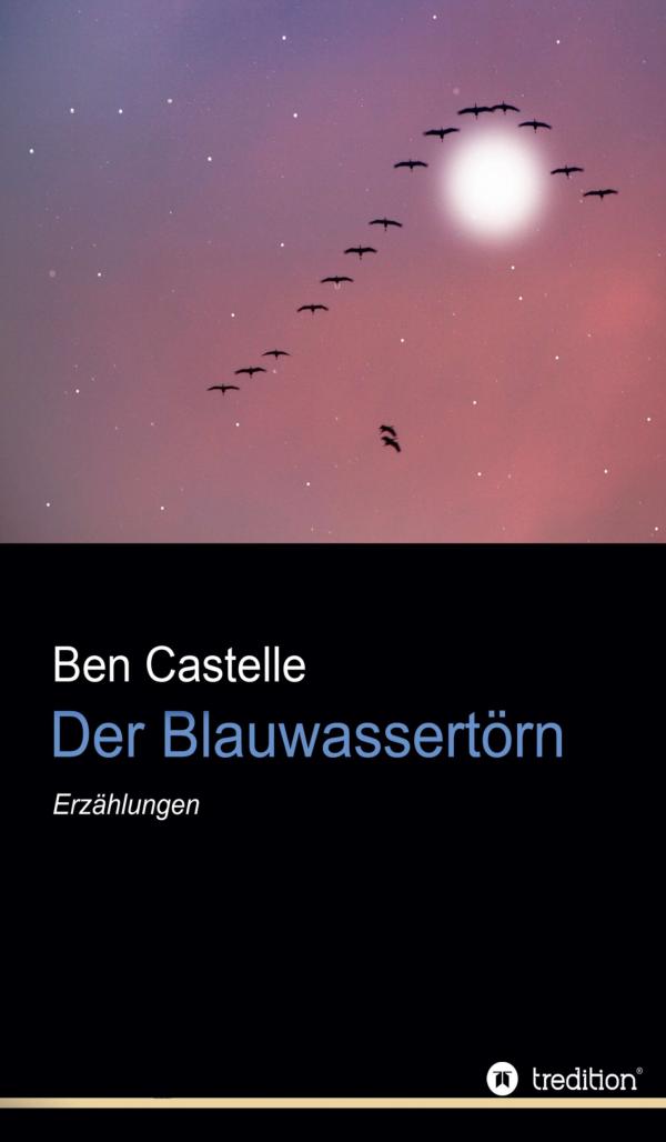 Der Blauwassertörn - spannende und abwechslungsreiche Kurzgeschichten