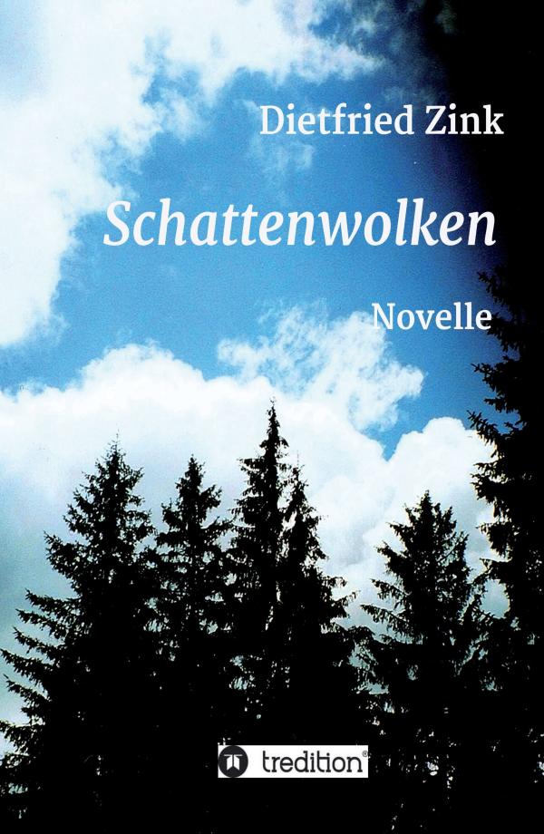 Schattenwolken - packendes Abenteuerbuch für junge Leser