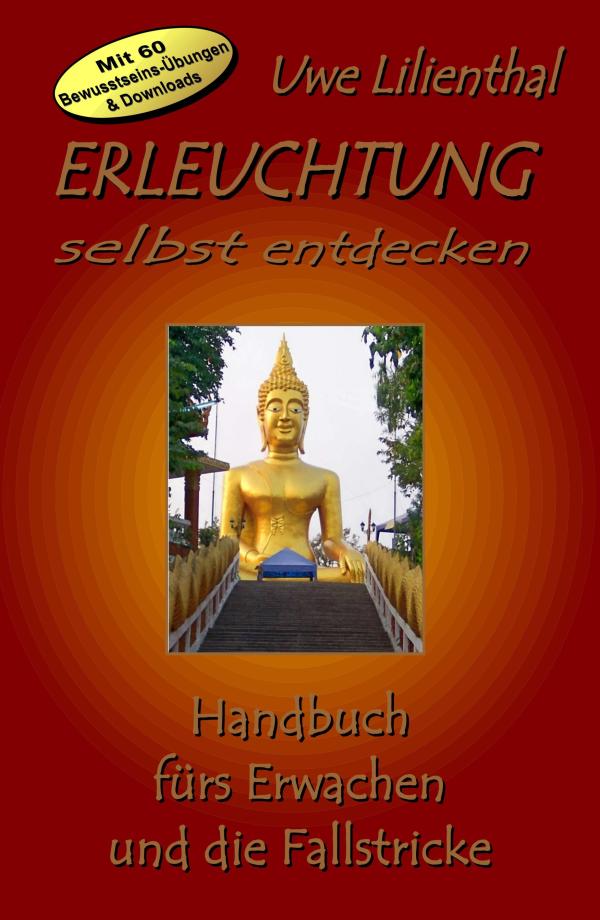 Erleuchtung selbst entdecken - Handbuch für das Erwachen