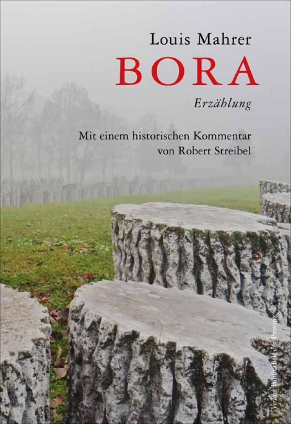 BORA, ein einzigartiges Buch von einem Zeitzeugen über Wehrmachtssoldaten im Widerstand gegen das NS-Regime