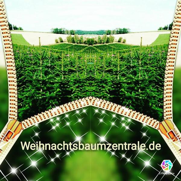 NH-Standards für Weihnachtsbaumplantagen