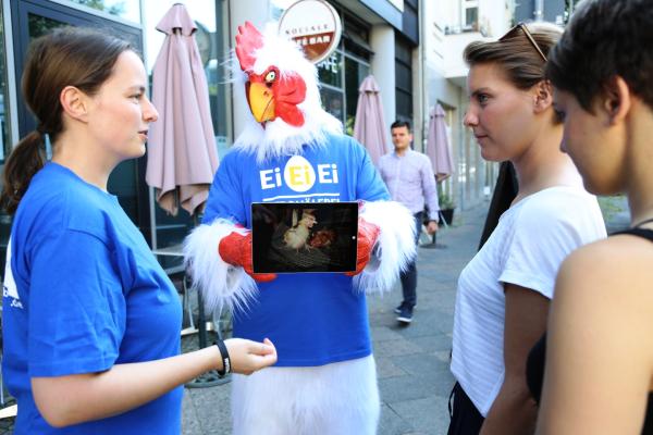 Protest-Huhn kommt nach Kassel, Bielefeld, Münster und Osnabrück