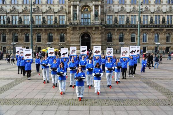 HAU(P)TSACHE KEIN PELZ! Aufsehenerregende Aktion vor dem Hamburger Rathaus