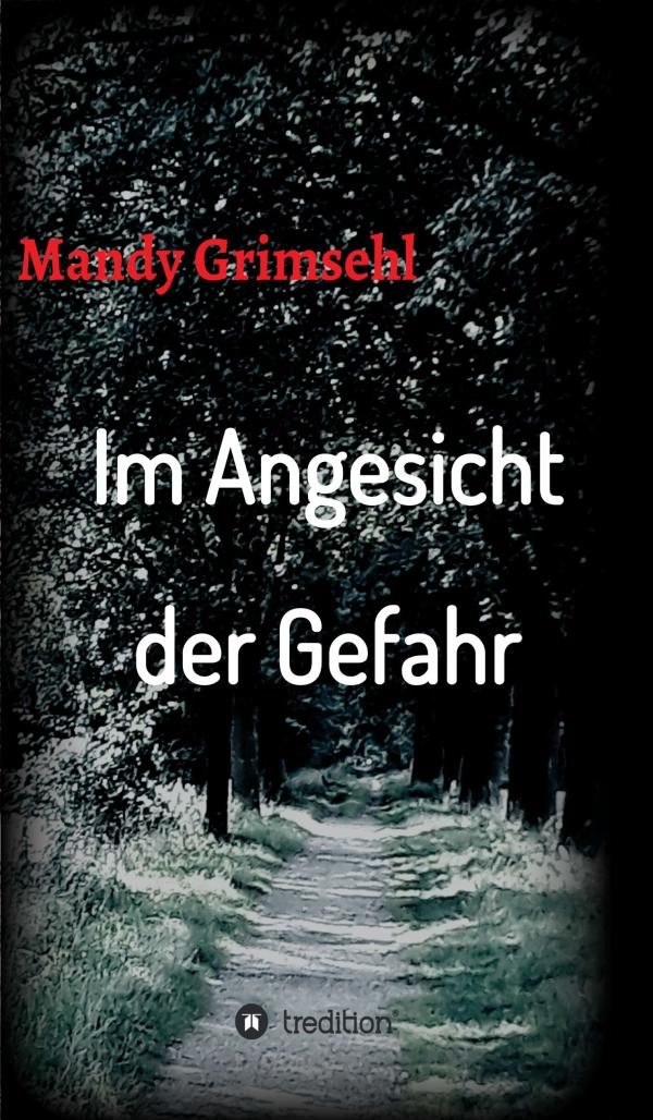 Im Angesicht der Gefahr - eine aufregende Mischung aus Thriller und Detektiv-Roman