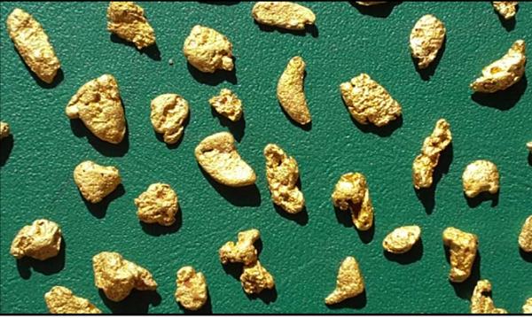 De Grey Mining - Über 90 Goldnuggets deuten hochgradige Goldvorkommen an!