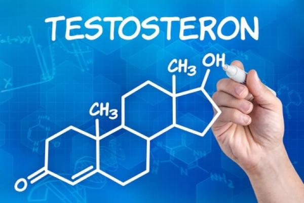 Testosteron steigern - Warum Testosteron so wichtig für den männlichen Organismus ist! 