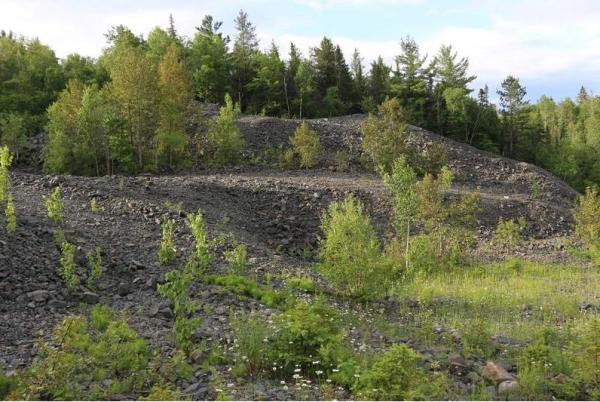 First Cobalt dehnt Probenahmen auf seiner Mine aus