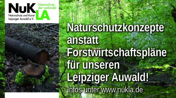 Naturschutzkonzepte statt Forstwirtschaftspläne