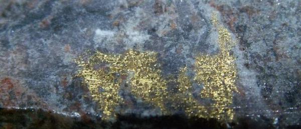 Goldmonat Januar