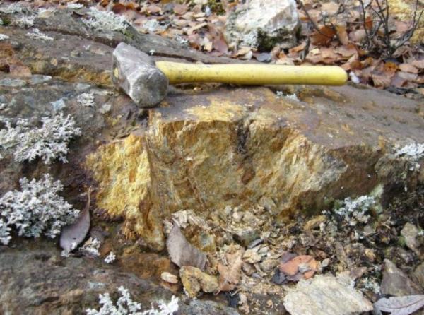 Maple Gold Mines Vorbereitungen laufen auf Hochtouren