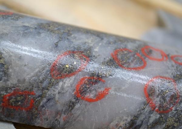 Bonterra legt wieder los: bis zu 26,7 g/t Gold pro Tonne erbohrt!