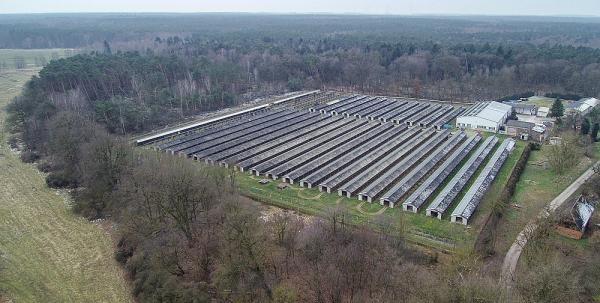 Erfolg: Letzte Nerzfarm Sachsen-Anhalts endlich geschlossen 