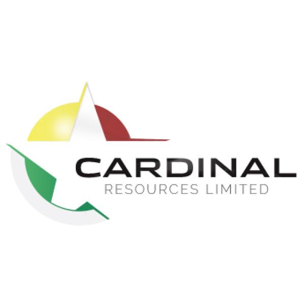 Cardinal steigert angezeigte Mineralressource auf 6,5 Mio. Unzen